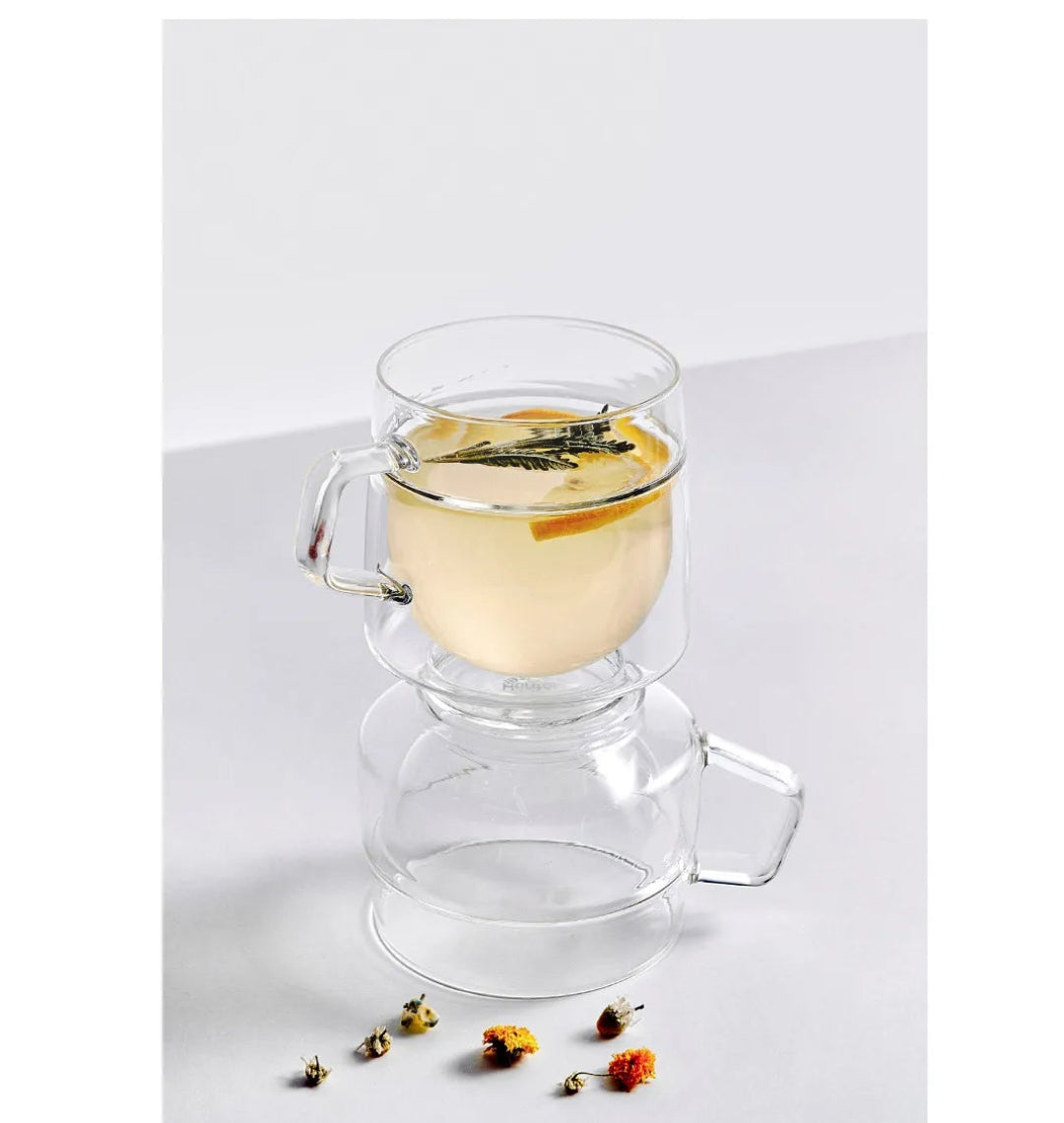 Borosilicate Glass Gaya Mug with Hybrid Wall